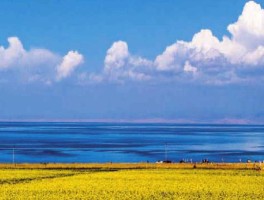 关于青海湖是淡水湖还是咸水湖,面积约是4500的信息